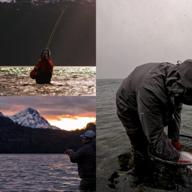 En el Nahuel Huapi, las truchas marrones danzan en corrientes cristalinas, desafiando tu mosca con astucia salvaje.
La temporada despierta, y el lago se convierte en un lienzo de picos nevados y bahías esculpidas por el viento. Cada lanzamiento es un susurro al agua, cada pique una chispa que enciende el alma. Desde la costa, el aroma de un mate amargo o un guiso patagónico se mezcla con las risas de tus amigos, mientras el próximo trofeo acecha bajo la superficie. Esto es el Nahuel Huapi: donde la pesca con mosca se vuelve arte.
.
Temporada 2025:
Octubre: Apertura en Lago Nahuel Huapi (consultar reglamento).
Noviembre: Todo el Parque Nacional Nahuel Huapi.
.
.
Información y reservas:
🌐 www.puyenes.com
📧 info@puyenes.com
📞 +54 9 2944 214869
.
.
#NahuelHuapiFlyFishing #TruchaOnTheFly #PatagoniaUnraveled #CatchTheMoment #FlyFishingArt #wildwaters
#PescaEnNahuelHuapi
#FlyFishing2025 #TruchasPatagonia #AventuraEnNahuelHuapi #PescaConAmigos
#PatagoniaViva