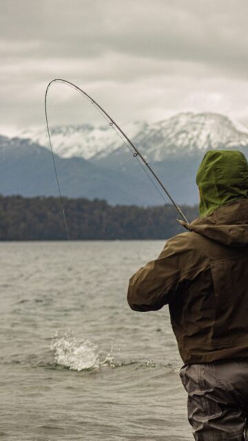Estamos listos .... Consultanos por información o déjanos algún comentarios.