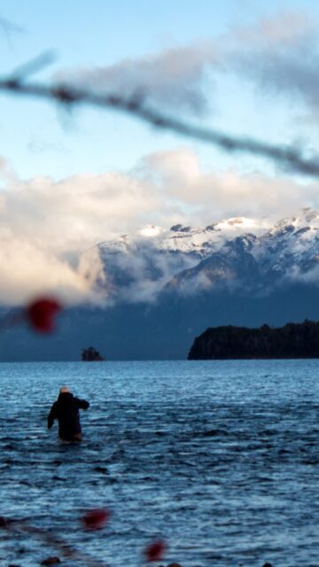 Comienza una nueva temporada en el Lago Nahuel Huapi, y con ella, la emoción que solo un pescador conoce.
El lago vuelve a cobrar vida: aguas crecidas, costas exigentes y cerros nevados que reflejan el inicio de un nuevo ciclo.
Las moscas brillan al sol, los lanzamientos cortan el aire, y las truchas —voraces y poderosas— anuncian que la espera terminó.
Octubre abre el Nahuel Huapi,
Noviembre habilita todo el Parque Nacional Nahuel Huapi.
Cada salida es una historia, cada navegación una aventura,
y la primera trucha marca el inicio de la temporada.
📍 Más información y reservas:
www.puyenes.com
info@puyenes.com
+54 9 2944 214869
#AperturaDePesca2025 #FlyFishingArgentina #NahuelHuapi #PescaDeportiva #TruchaSalvaje #CatchAndRelease #OutdoorExperience #FlyFishingLife #TroutSeason #FishingAdventure