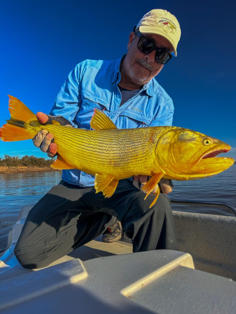 Pesca de Dorado con Darío Arrieta en Arroyo Seco