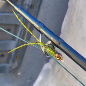 IMG_20251227_221220