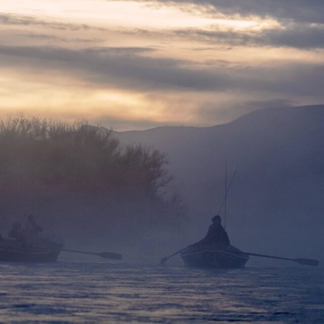 El río de los mil momentos: pesca con mosca en el Limay, con todo lo que la Patagonia sabe dar.
.
Lo llaman el río de los mil casteos — y lo es. Acá el agua manda, la mosca tiene que ganarse su lugar, y el silencio entre lances dice más que cualquier palabra. Pero en Patagonia, una jornada de pesca es mucho más que pescar. Es el café caliente en la primera parada del día, cuando el río todavía está en sombra. Es la buena comida compartida en la orilla después de horas de concentración. Es el vino que llega justo cuando el sol toca el agua y los colores del otoño lo llenan todo. Algunos encuentran su trofeo en el primer pozo. Otros vuelven con las manos vacías… pero con el sonido del Limay todavía en la cabeza. Y eso, también, es pesca con mosca en la Patagonia.
.
.
 🎣 Guiadas exclusivas en el Limay | Mayo 
 ☕🍷 Experiencia completa: pesca, gastronomía y paisaje 
🔗 puyenes.com
 📩 info@puyenes.com
 📞 +54 9 2944 21-4869 
.
.
#FlyFishing #PescaConMosca #TroutFishing #Patagonia #catchandrelease