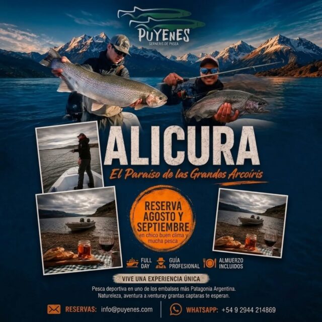 ¡La ventana de oro en la estepa se abre! 🎣
.
Agosto, Septiembre y Octubre.
En Puyenes sabemos que no hay mejor momento para ir por las arcoiris gigantes del Embalse Alicura.
El invierno afloja, los días se estiran y las truchas salen a devorar con un apetito feroz.
La pesca se vuelve adrenalina pura: lectura del agua, precisión con el streamer y ese tirón inconfundible que te dobla el equipo.
Todo bajo el clima de estepa, con su viento firme y una luz que pinta la meseta de tonos imposibles.
Si querés sentir esa descarga, ver la estela justo antes del ataque y gritar cada captura en medio de la inmensidad…
este es tu momento.
.
.
👉 Planificá tu salida ahora
Toda la data, fotos y el espíritu de Alicura te esperan en el link de la bio.
📲 Contacto directo
.
www.puyenes.com
+54 9 2944 214869
#FlyFishing #PescaConMosca #ArcoirisGigantes #Alicura #temporada2026