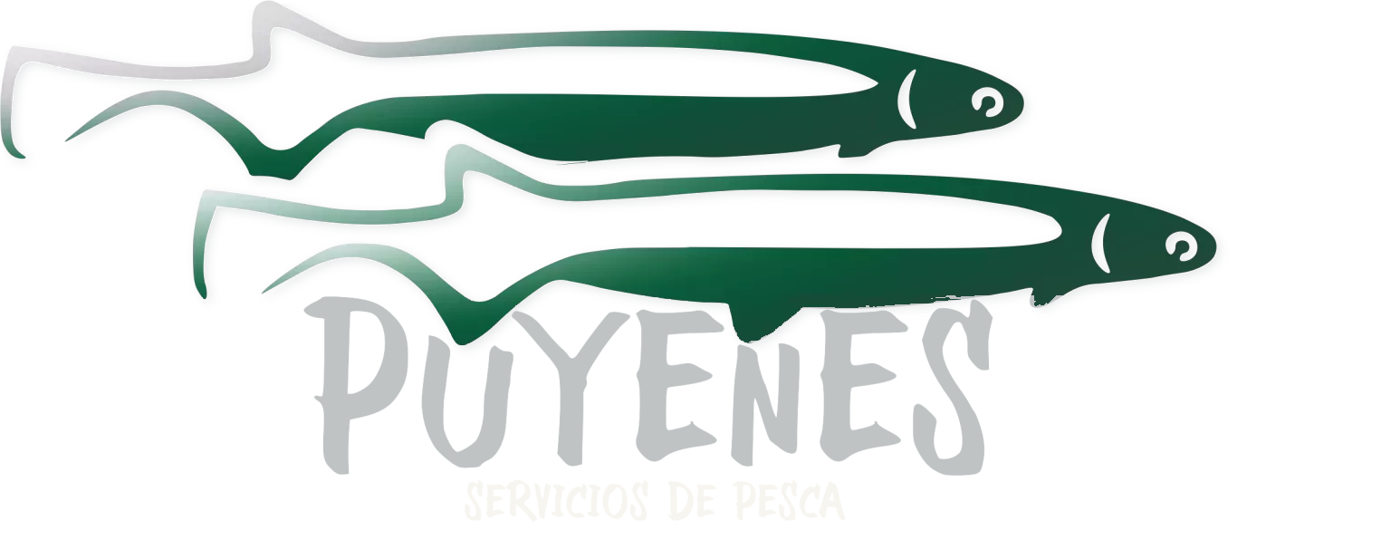 Puyenes
