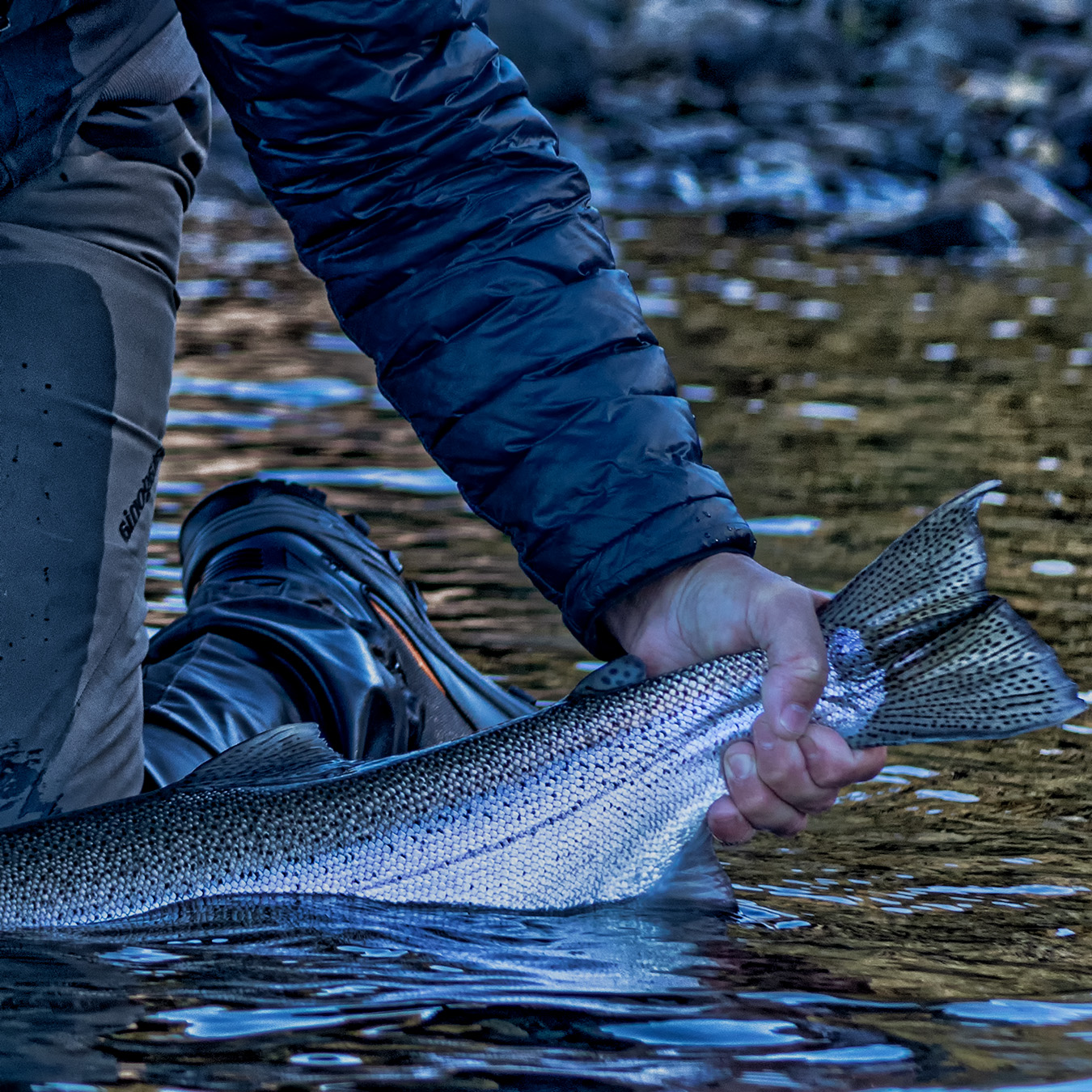 Fishing guide on the Limay River