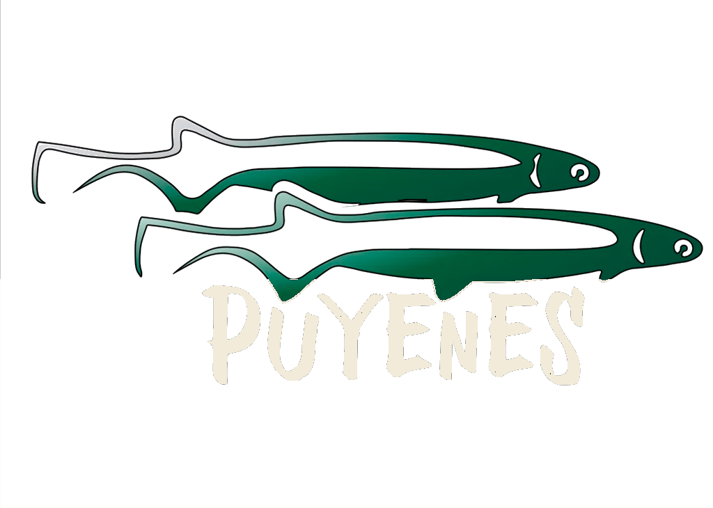 Puyenes