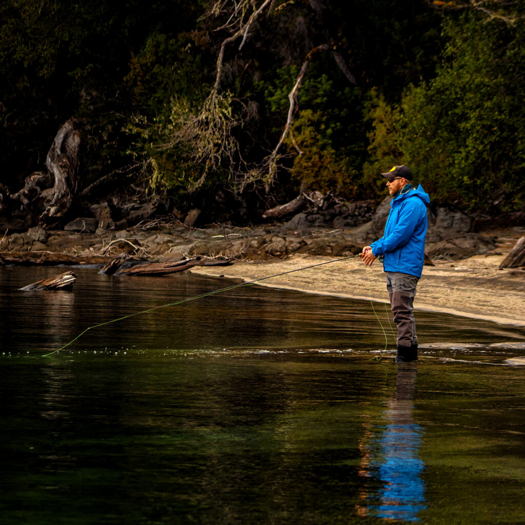 Trout released back into the Nahuel Huapi