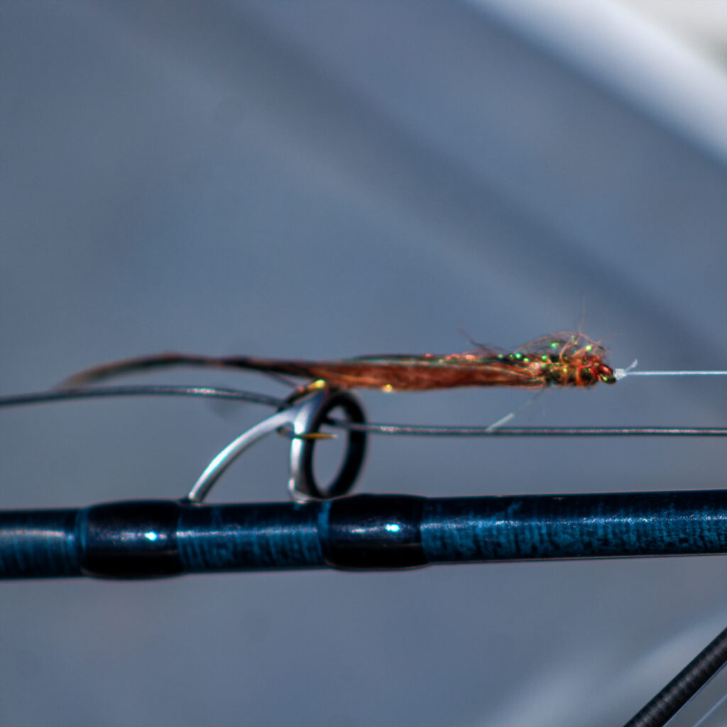 Jornada de pesca en río Limay, Patagonia — pesca con mosca