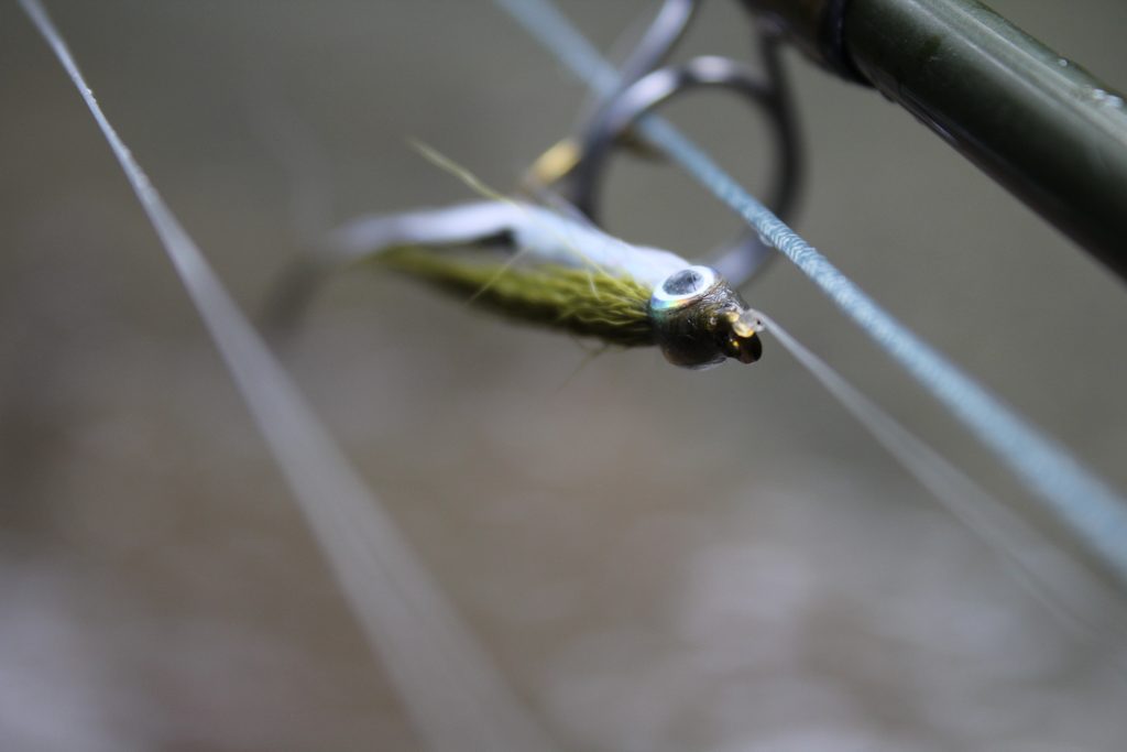 Jornada de pesca en río Limay, Patagonia — pesca con mosca