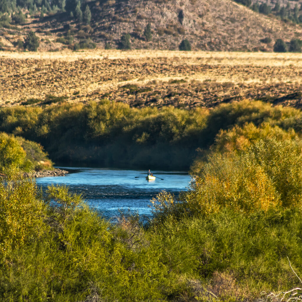 Jornada de pesca en río Limay, Patagonia — pesca con mosca